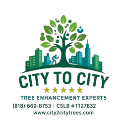 site logo